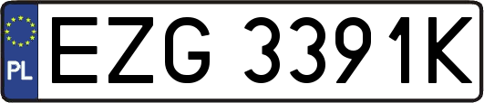 EZG3391K