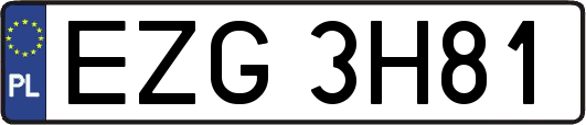 EZG3H81