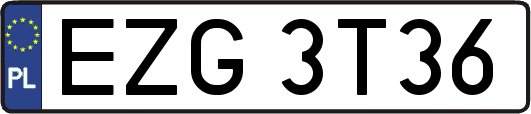 EZG3T36