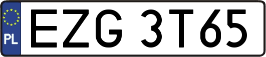 EZG3T65