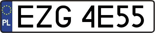 EZG4E55