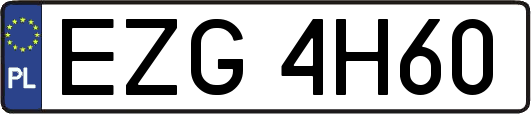 EZG4H60