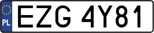 EZG4Y81