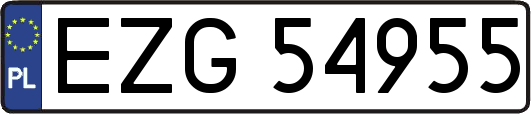 EZG54955