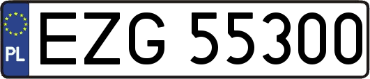 EZG55300