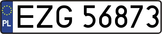 EZG56873