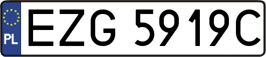 EZG5919C