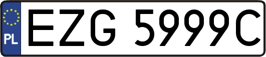 EZG5999C