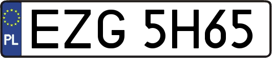EZG5H65