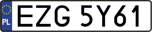 EZG5Y61
