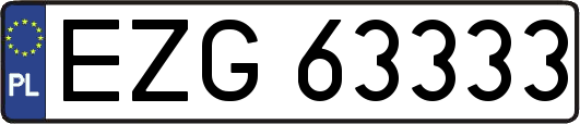 EZG63333