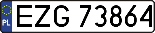 EZG73864