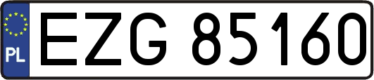 EZG85160