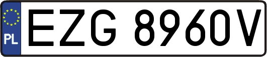 EZG8960V
