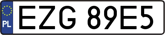 EZG89E5