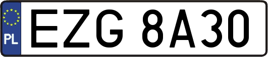 EZG8A30