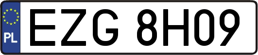 EZG8H09