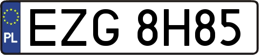 EZG8H85