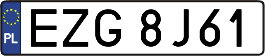 EZG8J61