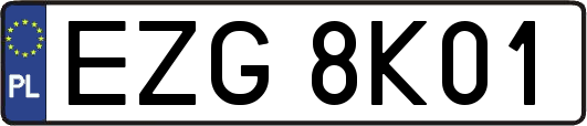 EZG8K01