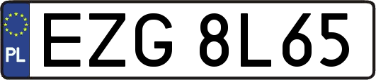 EZG8L65