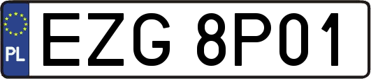 EZG8P01