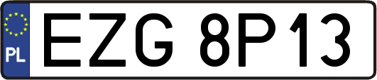 EZG8P13