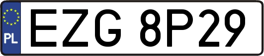 EZG8P29
