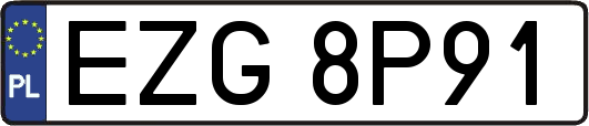 EZG8P91