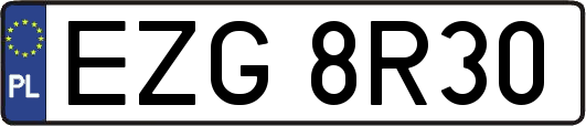 EZG8R30
