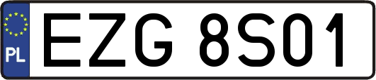 EZG8S01