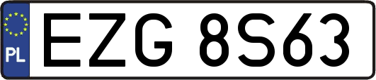 EZG8S63