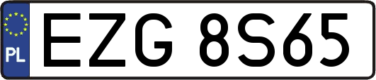 EZG8S65