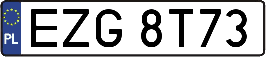 EZG8T73