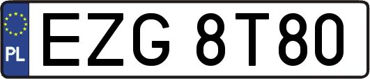 EZG8T80