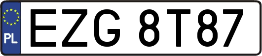 EZG8T87