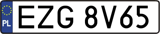 EZG8V65