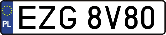 EZG8V80