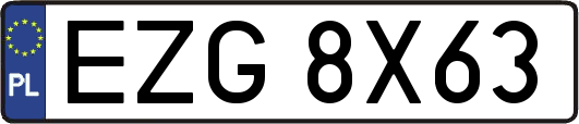 EZG8X63
