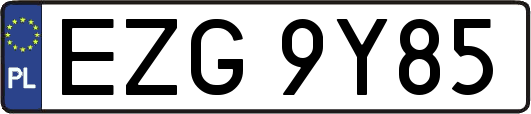 EZG9Y85