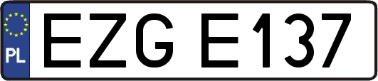EZGE137
