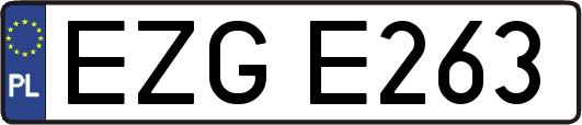 EZGE263