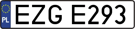 EZGE293