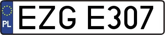 EZGE307