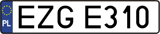 EZGE310