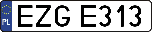 EZGE313