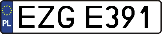EZGE391