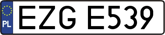 EZGE539