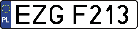 EZGF213