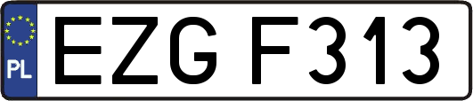 EZGF313